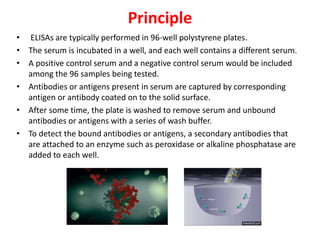 Principle
• ELISAs are typically performed in 96-well polystyrene plates.
• The serum is incubated in a well, and each well contains a different serum.
• A positive control serum and a negative control serum would be included
among the 96 samples being tested.
• Antibodies or antigens present in serum are captured by corresponding
antigen or antibody coated on to the solid surface.
• After some time, the plate is washed to remove serum and unbound
antibodies or antigens with a series of wash buffer.
• To detect the bound antibodies or antigens, a secondary antibodies that
are attached to an enzyme such as peroxidase or alkaline phosphatase are
added to each well.
 