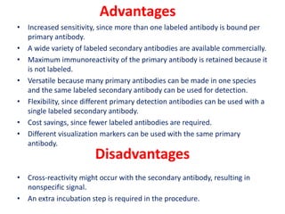 Advantages
• Increased sensitivity, since more than one labeled antibody is bound per
primary antibody.
• A wide variety of labeled secondary antibodies are available commercially.
• Maximum immunoreactivity of the primary antibody is retained because it
is not labeled.
• Versatile because many primary antibodies can be made in one species
and the same labeled secondary antibody can be used for detection.
• Flexibility, since different primary detection antibodies can be used with a
single labeled secondary antibody.
• Cost savings, since fewer labeled antibodies are required.
• Different visualization markers can be used with the same primary
antibody.
• Cross-reactivity might occur with the secondary antibody, resulting in
nonspecific signal.
• An extra incubation step is required in the procedure.
Disadvantages
 