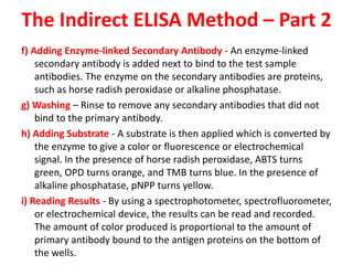 The Indirect ELISA Method – Part 2
f) Adding Enzyme-linked Secondary Antibody - An enzyme-linked
secondary antibody is added next to bind to the test sample
antibodies. The enzyme on the secondary antibodies are proteins,
such as horse radish peroxidase or alkaline phosphatase.
g) Washing – Rinse to remove any secondary antibodies that did not
bind to the primary antibody.
h) Adding Substrate - A substrate is then applied which is converted by
the enzyme to give a color or fluorescence or electrochemical
signal. In the presence of horse radish peroxidase, ABTS turns
green, OPD turns orange, and TMB turns blue. In the presence of
alkaline phosphatase, pNPP turns yellow.
i) Reading Results - By using a spectrophotometer, spectrofluorometer,
or electrochemical device, the results can be read and recorded.
The amount of color produced is proportional to the amount of
primary antibody bound to the antigen proteins on the bottom of
the wells.
 