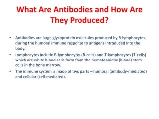 What Are Antibodies and How Are
They Produced?
• Antibodies are large glycoprotein molecules produced by B-lymphocytes
during the humoral immune response to antigens introduced into the
body.
• Lymphocytes include B-lymphocytes (B-cells) and T-lymphocytes (T-cells)
which are white blood cells form from the hematopoietic (blood) stem
cells in the bone marrow.
• The immune system is made of two parts – humoral (antibody-mediated)
and cellular (cell-mediated).
 
