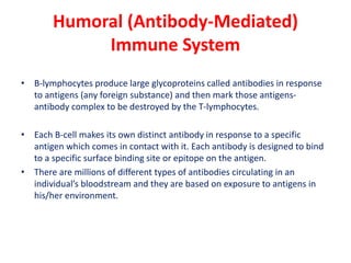 Humoral (Antibody-Mediated)
Immune System
• B-lymphocytes produce large glycoproteins called antibodies in response
to antigens (any foreign substance) and then mark those antigens-
antibody complex to be destroyed by the T-lymphocytes.
• Each B-cell makes its own distinct antibody in response to a specific
antigen which comes in contact with it. Each antibody is designed to bind
to a specific surface binding site or epitope on the antigen.
• There are millions of different types of antibodies circulating in an
individual’s bloodstream and they are based on exposure to antigens in
his/her environment.
 