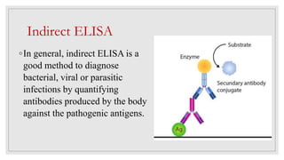 Indirect ELISA
◦In general, indirect ELISA is a
good method to diagnose
bacterial, viral or parasitic
infections by quantifying
antibodies produced by the body
against the pathogenic antigens.
 