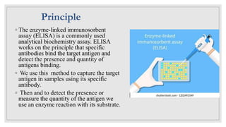◦ The enzyme-linked immunosorbent
assay (ELISA) is a commonly used
analytical biochemistry assay. ELISA
works on the principle that specific
antibodies bind the target antigen and
detect the presence and quantity of
antigens binding.
◦ We use this method to capture the target
antigen in samples using its specific
antibody.
◦ Then and to detect the presence or
measure the quantity of the antigen we
use an enzyme reaction with its substrate.
Principle
 