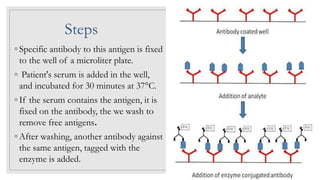 Steps
◦ Specific antibody to this antigen is fixed
to the well of a microliter plate.
◦ Patient's serum is added in the well,
and incubated for 30 minutes at 37°C.
◦ If the serum contains the antigen, it is
fixed on the antibody, the we wash to
remove free antigens.
◦ After washing, another antibody against
the same antigen, tagged with the
enzyme is added.
 