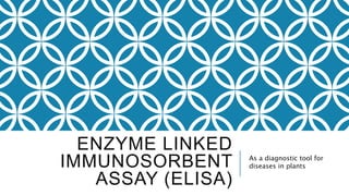 ENZYME LINKED
IMMUNOSORBENT
ASSAY (ELISA)
As a diagnostic tool for
diseases in plants
 