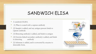 ELISA technique used in Antibody antigen interaction | PPTX