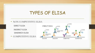 ELISA technique used in Antibody antigen interaction | PPTX