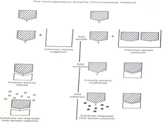 Enzyme Linked Immunosorbent Assay (ELISA) | PPT