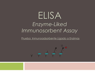 ELISA
Enzyme-Liked
Immunosorbent Assay
Prueba Inmunoadsorbente Ligado a Enzimas
 