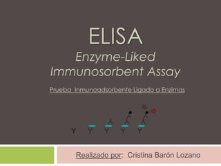 ELISA

Enzyme-Liked
Immunosorbent Assay
Prueba Inmunoadsorbente Ligado a Enzimas

Realizado por: Cristina Barón Lozano

 
