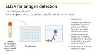 Comprehensive ELISA Immuno Explorer Kit Protocol for Disease Detection ...