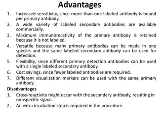 Advantages
1. Increased sensitivity, since more than one labeled antibody is bound
per primary antibody.
2. A wide variety of labeled secondary antibodies are available
commercially.
3. Maximum immunoreactivity of the primary antibody is retained
because it is not labeled.
4. Versatile because many primary antibodies can be made in one
species and the same labeled secondary antibody can be used for
detection.
5. Flexibility, since different primary detection antibodies can be used
with a single labeled secondary antibody.
6. Cost savings, since fewer labeled antibodies are required.
7. Different visualization markers can be used with the same primary
antibody.
Disadvantages
1. Cross-reactivity might occur with the secondary antibody, resulting in
nonspecific signal.
2. An extra incubation step is required in the procedure.
 