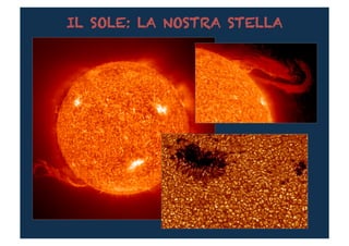 IL SOLE: LA NOSTRA STELLA
 