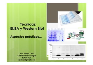 Técnicas:
ELISA y Western Blot
Aspectos prácticos…
Prof. Diana Ortiz
Cátedra Inmunología
EJMV-UCV
dprincz@gmail.com
 