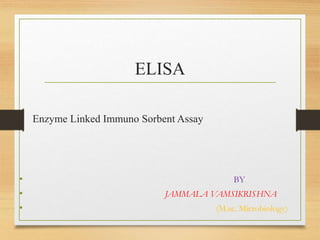 ELISA
Enzyme Linked Immuno Sorbent Assay
• BY
• JAMMALA VAMSIKRISHNA
• (M.sc. Microbiology)
 
