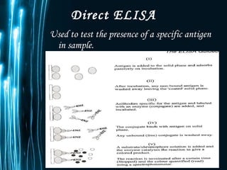 Direct ELISA Used to test the presence of a specific antigen in sample. 
