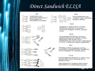Direct Sandwich ELISA 