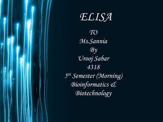 ELISA TO Ms.Sannia By Urooj Sabar 4318 5 th  Semester (Morning) Bioinformatics & Biotechnology 