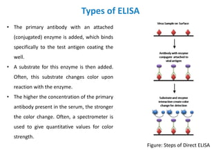 Types of ELISA
• The primary antibody with an attached
(conjugated) enzyme is added, which binds
specifically to the test antigen coating the
well.
• A substrate for this enzyme is then added.
Often, this substrate changes color upon
reaction with the enzyme.
• The higher the concentration of the primary
antibody present in the serum, the stronger
the color change. Often, a spectrometer is
used to give quantitative values for color
strength.
Figure: Steps of Direct ELISA
 