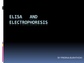 ELISA AND
ELECTROPHORESIS
BY PRERNA BURATHOKI
 