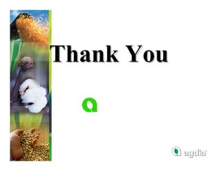 Thank You

   agdia
 