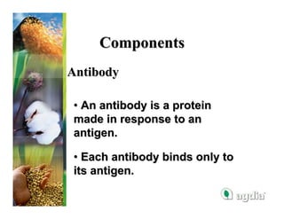 Components
Antibody

• An antibody is a protein
made in response to an
antigen.

• Each antibody binds only to
its antigen.
 