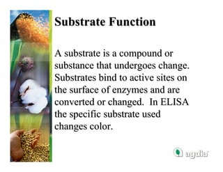 Substrate Function

A substrate is a compound or
substance that undergoes change.
Substrates bind to active sites on
the surface of enzymes and are
converted or changed. In ELISA
the specific substrate used
changes color.
 