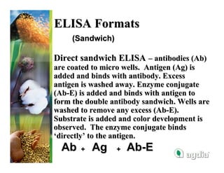 ELISA Formats
     (Sandwich)

Direct sandwich ELISA – antibodies (Ab)
are coated to micro wells. Antigen (Ag) is
added and binds with antibody. Excess
antigen is washed away. Enzyme conjugate
(Ab-E) is added and binds with antigen to
form the double antibody sandwich. Wells are
washed to remove any excess (Ab-E).
Substrate is added and color development is
observed. The enzyme conjugate binds
‘directly’ to the antigen.
  Ab   +   Ag     +   Ab-E
 