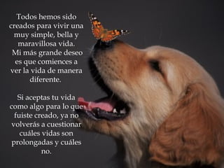 Todos hemos sido creados para vivir una muy simple, bella y maravillosa vida. Mi más grande deseo es que comiences a ver la vida de manera diferente.  Si aceptas tu vida como algo para lo que fuiste creado, ya no volverás a cuestionar cuáles vidas son prolongadas y cuáles no. 