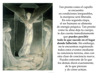 Elisabeth kubler vida despus de la muerte | PPS