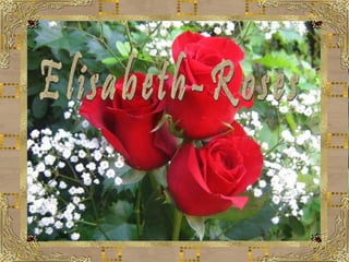 Elisabeth-Roses 