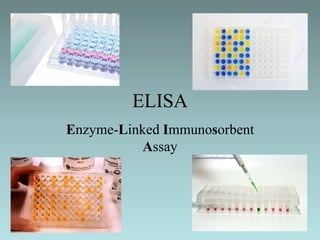 ELISA
Enzyme-Linked Immunosorbent
Assay
 