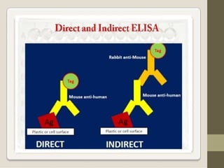 Direct Elsa ELISA direct, Haitham ALhakimi- Saadah university..pptx
