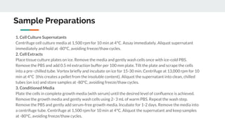 Sample Preparations
1. Cell Culture Supernatants
Centrifuge cell culture media at 1,500 rpm for 10 min at 4°C. Assay immediately. Aliquot supernatant
immediately and hold at -80°C, avoiding freeze/thaw cycles.
2. Cell Extracts
Place tissue culture plates on ice. Remove the media and gently wash cells once with ice-cold PBS.
Remove the PBS and add 0.5 ml extraction buffer per 100 mm plate. Tilt the plate and scrape the cells
into a pre- chilled tube. Vortex briefly and incubate on ice for 15-30 min. Centrifuge at 13,000 rpm for 10
min at 4°C (this creates a pellet from the insoluble content). Aliquot the supernatant into clean, chilled
tubes (on ice) and store samples at -80°C, avoiding freeze/thaw cycles.
3. Conditioned Media
Plate the cells in complete growth media (with serum) until the desired level of confluence is achieved.
Remove the growth media and gently wash cells using 2- 3 mL of warm PBS. Repeat the wash step.
Remove the PBS and gently add serum-free growth media. Incubate for 1-2 days. Remove the media into
a centrifuge tube. Centrifuge at 1,500 rpm for 10 min at 4°C. Aliquot the supernatant and keep samples
at -80°C, avoiding freeze/thaw cycles.
 
