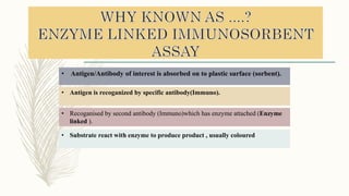 • Antigen/Antibody of interest is absorbed on to plastic surface (sorbent).
• Antigen is recoganized by specific antibody(Immuno).
• Recoganised by second antibody (Immuno)which has enzyme attached (Enzyme
linked ).
• Substrate react with enzyme to produce product , usually coloured
 