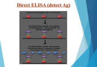 elisa & IF.pptx ELISA and immunofluorescence | PPTX