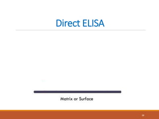Direct ELISA
38
 