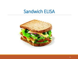 Sandwich ELISA
44
 