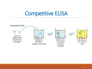 Competitive ELISA
49
 