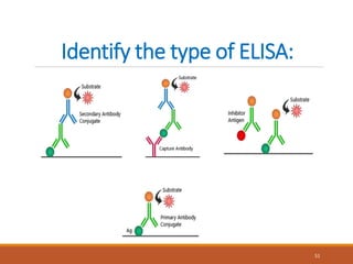 Identify the type of ELISA:
51
 