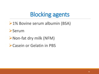 Blocking agents
1% Bovine serum albumin (BSA)
Serum
Non-fat dry milk (NFM)
Casein or Gelatin in PBS
56
 
