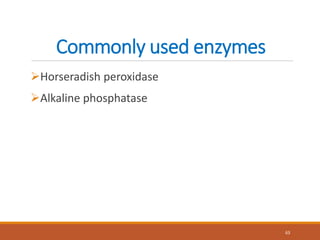 Commonly used enzymes
Horseradish peroxidase
Alkaline phosphatase
63
 