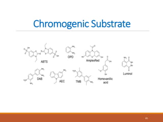 Chromogenic Substrate
65
 
