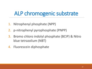 ALP chromogenic substrate
1. Nitrophenyl phosphate (NPP)
2. p-nitrophenyl pyrophosphate (PNPP)
3. Bromo chloro indolyl phosphate (BCIP) & Nitro
blue tetrazolium (NBT)
4. Fluorescein diphosphate
67
 