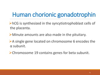 Human chorionic gonadotrophin
hCG is synthesized in the syncytiotrophoblast cells of
the placenta.
Minute amounts are also made in the pituitary.
A single gene located on chromosome 6 encodes the
α subunit.
Chromosome 19 contains genes for beta subunit.
71
 