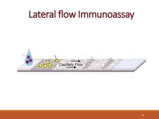 76
Lateral flow Immunoassay
 