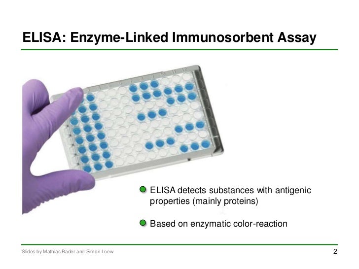 Тест на ферменты. . Elisa (Enzyme linked immunosorbent Assay). Enzyme-linked immunosorbent Assay. Elisa тест.