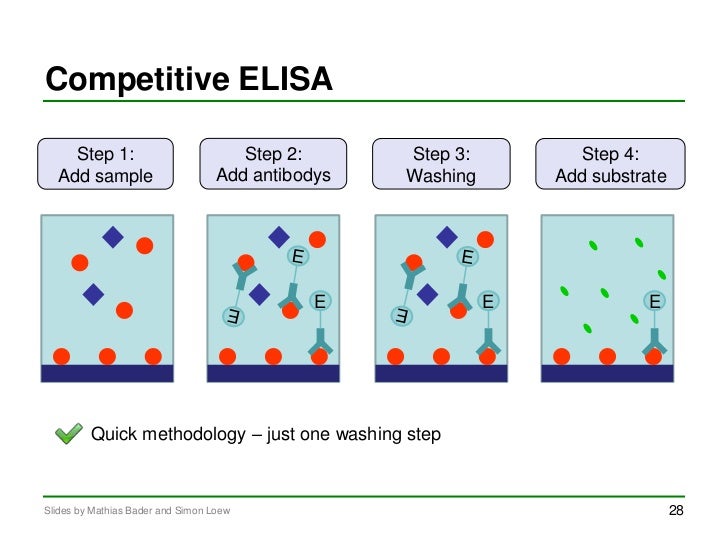 elisa assay steps Please mix thoroughly between dilution steps control with buffer alone should always be included in elisa assays continue to: how to determine sample . elisa assay steps Please mix thoroughly between dilution steps control with buffer alone should always be included in elisa assays continue to: how to determine sample .