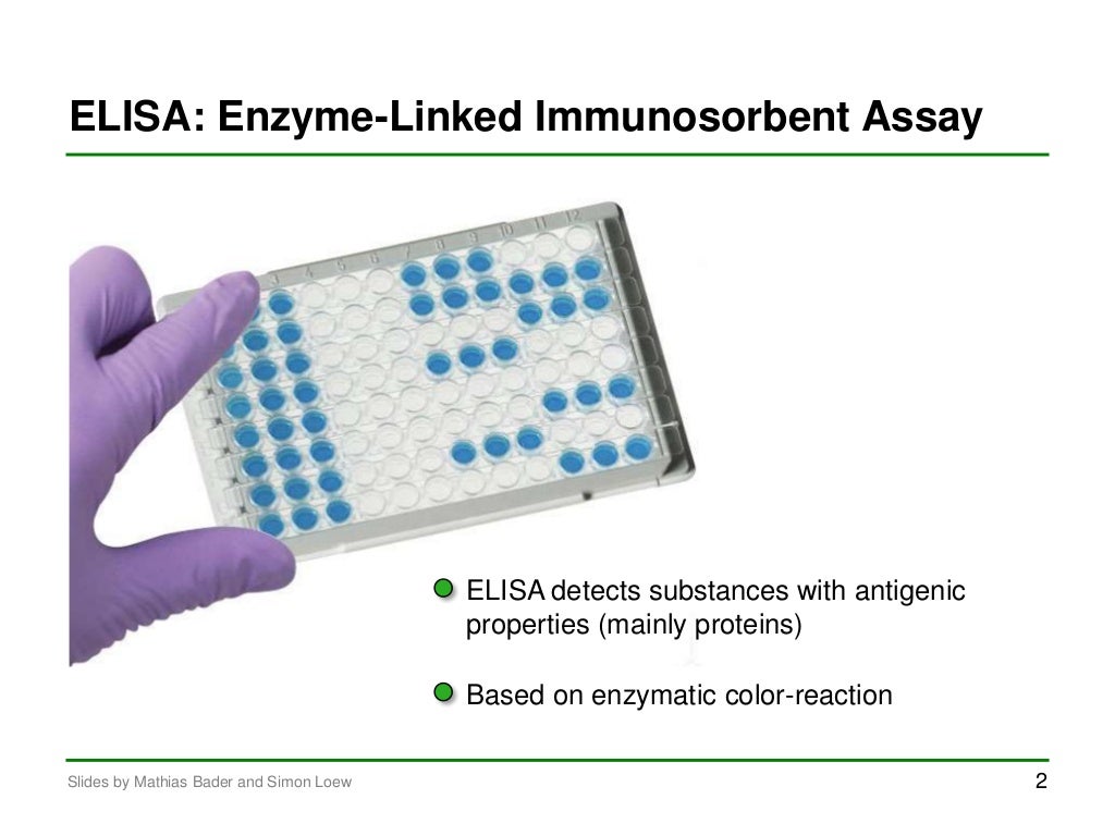 elisa-test-enzyme-linked-immunosorbent-assay