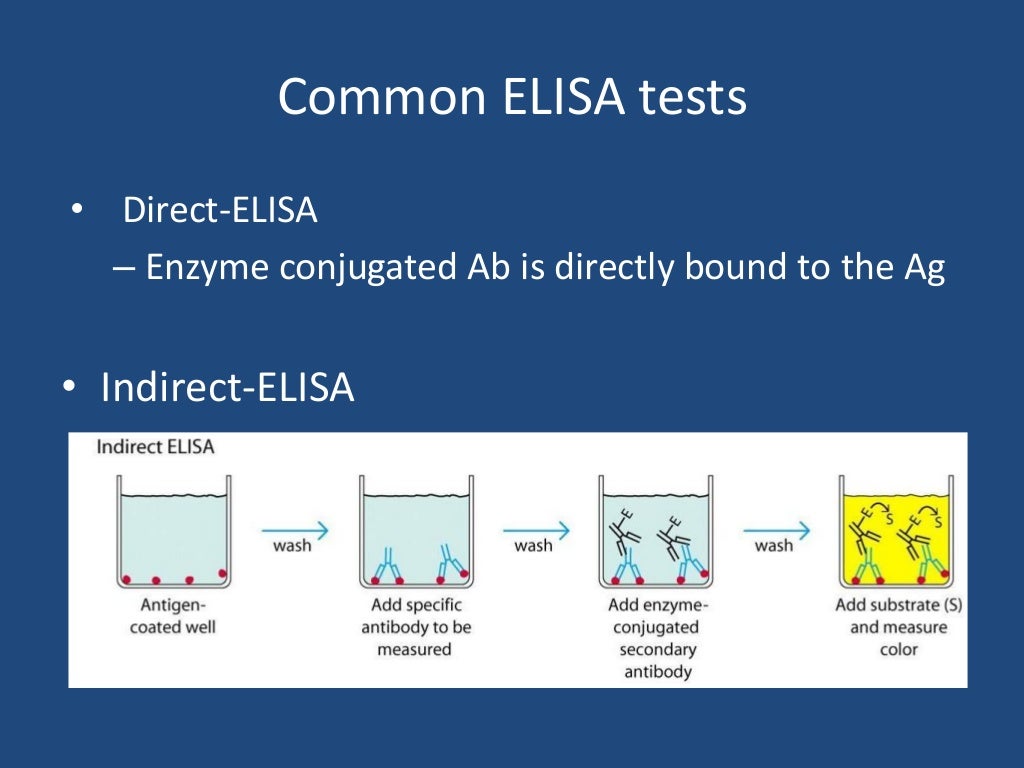 Elisa part1 ppt